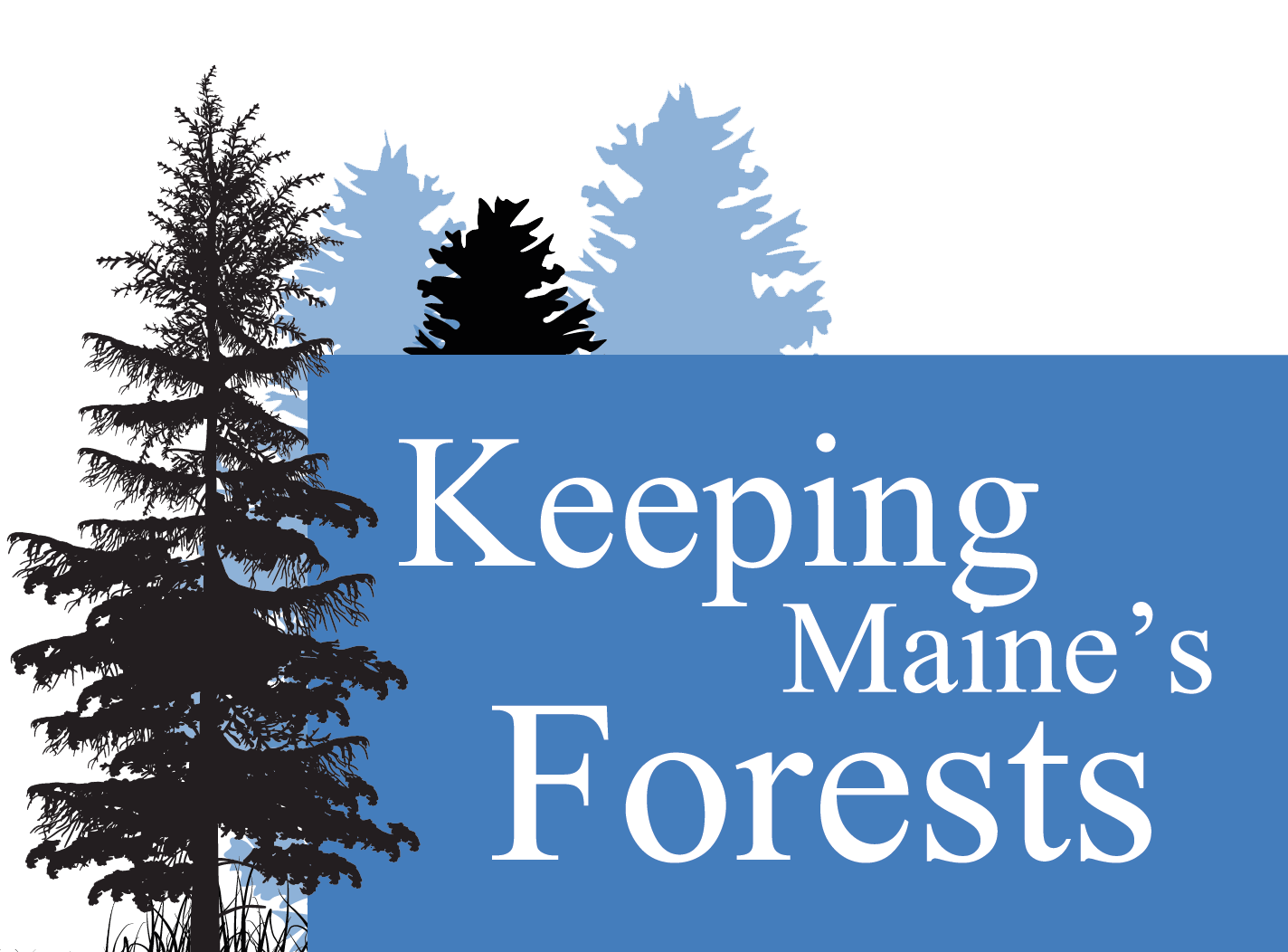 Keeping Maine's Forest